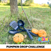 Buckle in for the journey of a lifetime as we introduce you to the heart-pounding Thrilling Pumpkin Drop Challenge!