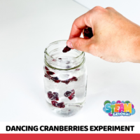 Elementary lesson plan for the dancing cranberries experiment! This interactive activity offers a captivating depiction of a chemical reaction at play.