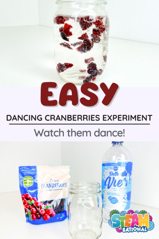 For elementary and middle school kids, ages 6 to 12, the Fun Dancing Cranberries Activity is a fascinating combination of art and science.