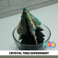 Easy directions to for a Christmas tree activity using crystals! Grow your own crystals in the shape of a Christmas tree to celebrate the season!