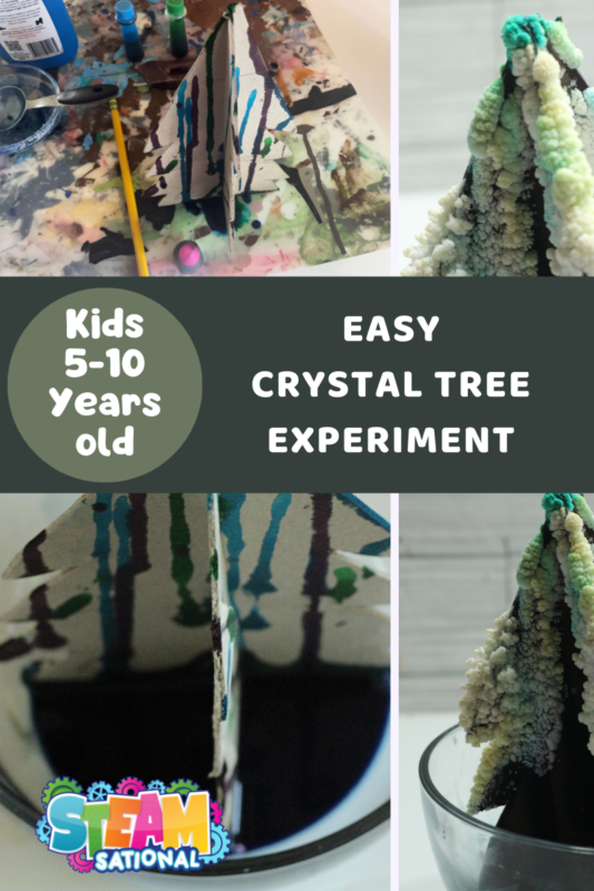 Get ready for an enchanting and brilliant adventure with our Sparkling Crystal Tree Activity! This is a dazzling fun activity for kids which combines holiday cheer with a deep dive into chemistry and crystal growth. 