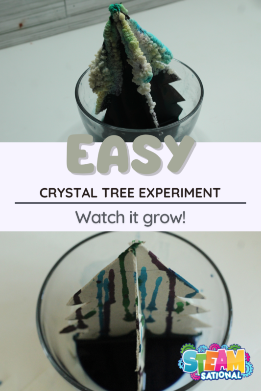 Immerse your students in the world of STEM education this holiday season with the help of this comprehensive lesson plan. By creating crystal Christmas trees, elementary and middle school students will embark on a captivating journey into the realm of crystal formation, making both learning and decorating a joyous experience.