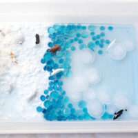 Image for Icy Critter Wonderland: Polar Animals and Arctic Ice Sensory Play!