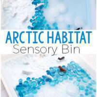 Image for Arctic Sensory Bin for Winter