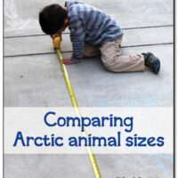 Image for Arctic Animal Size Showdown