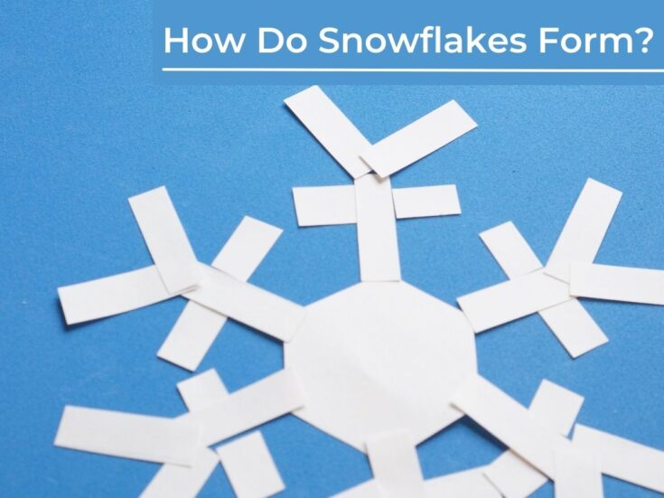 How Do Snowflakes Form winter science activity for kids social 1