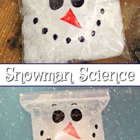 Image for Snow Science | Expanding Snowman