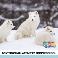 20+fun animals in winter preschool activities! Use the activities for arctic animals in a preschool winter animals theme and preschool lesson plans.