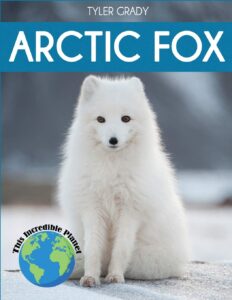 arctic fox this incredible planet book