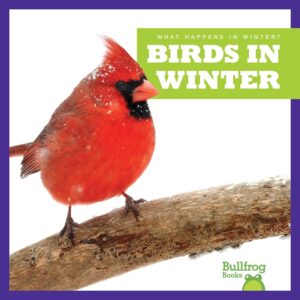 birds in winter book