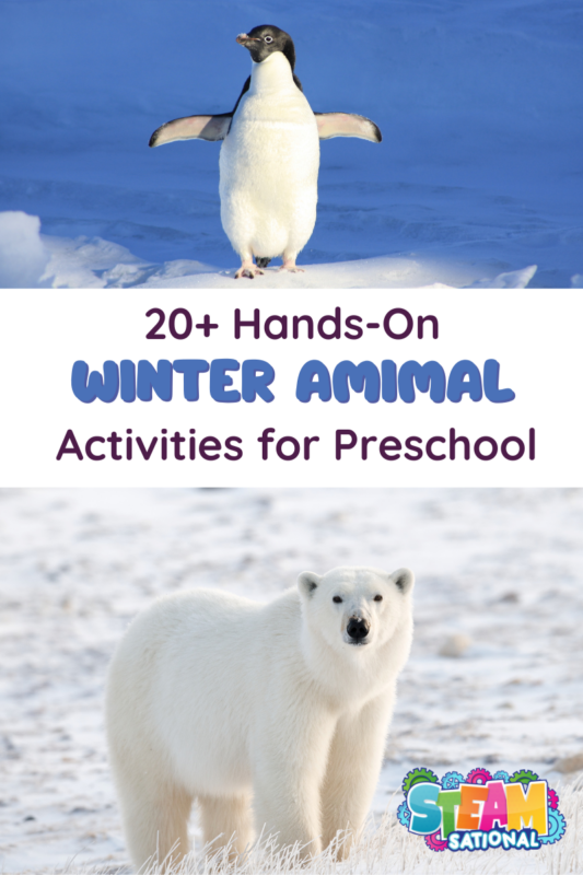 Preschoolers can learn everything about how animals survive the winter with these what do animals do in the winter activities!