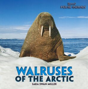 walruses of the arctic book