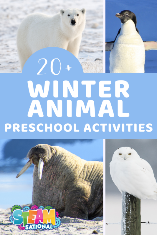 Bundle up and hop on a science-filled expedition where snowflakes and critters come alive in these animals in winter preschool activities.