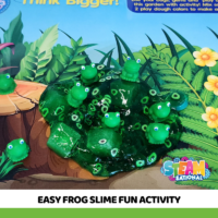 How to make frog slime is something that excited elementary or middle school students look forward to in a lively classroom. They first learn about the habitats and distinctive qualities of frogs through an exploration of the world of frog slime, and then they conduct practical experiments.