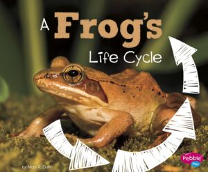 a frogs life cycle book