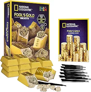 fools gold dig science kit