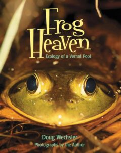 frog heaven book