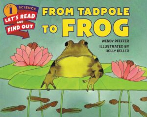 from tadpole to frog book