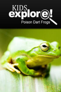 kids explore poison dart frog 1