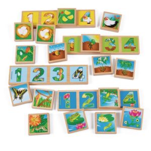 life cycle sequencing puzzles 1