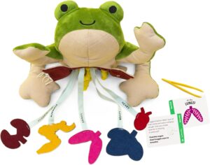 parts of a frog plushie