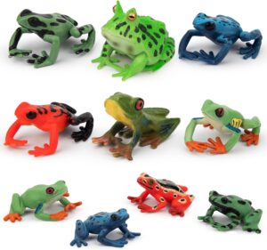 rainforest frog toys