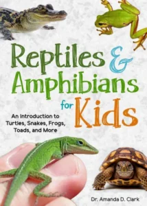 reptiles and amphibians for kids book 1