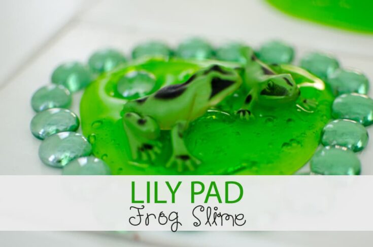 Lily Pad Frog Slime