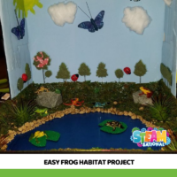 How to make a DIY frog habitat project with kids! Teach elementary kids about habitats for frogs and toads while you make frog habitats!