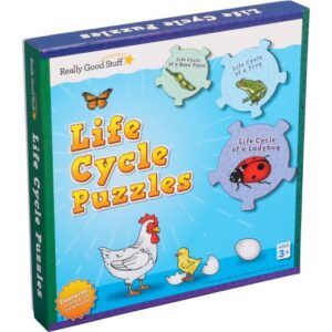 life cycle puzzles
