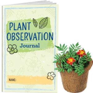 plant flower observation classroom kit